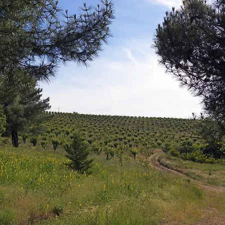 Quinta Da Pereira