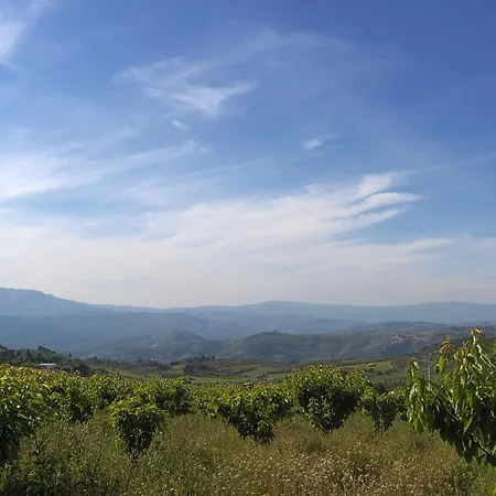 Hébergement de vacances Quinta Da Pereira *