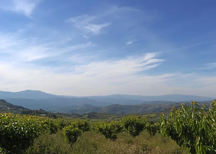 別荘 Quinta Da Pereira *